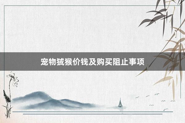 宠物狨猴价钱及购买阻止事项