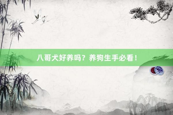 八哥犬好养吗？养狗生手必看！