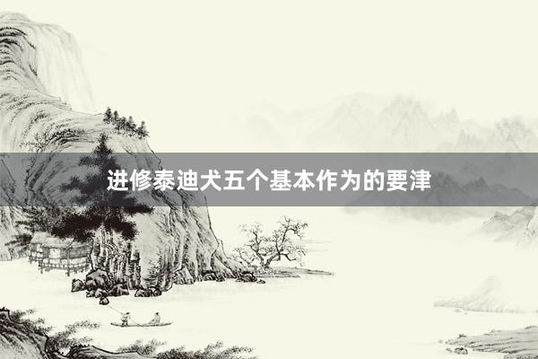 进修泰迪犬五个基本作为的要津