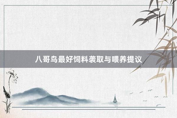 八哥鸟最好饲料袭取与喂养提议