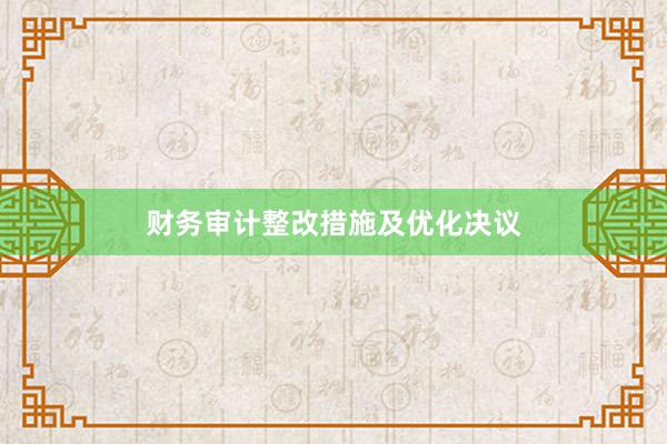 财务审计整改措施及优化决议